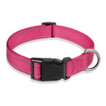 Rose red nylon dog collar with reflective stitching, black quick-release buckle and metal D-ring