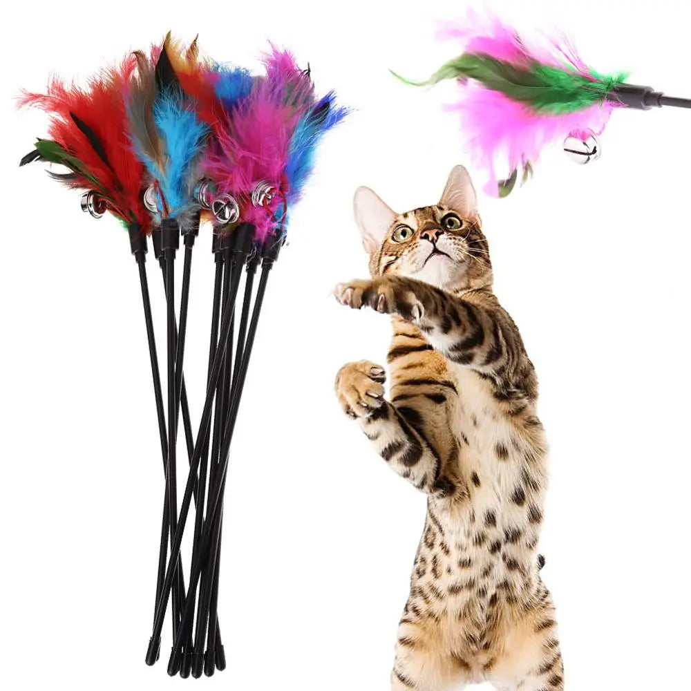 Feather cat teaser wand with bell