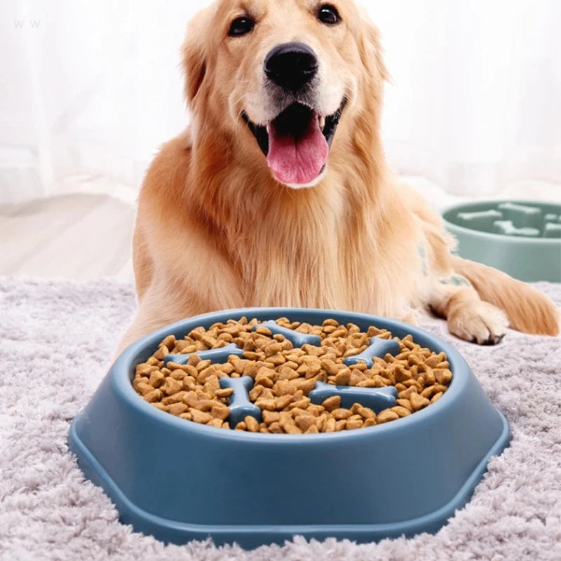 Blue plastic slow feeder bowl with raised bone-shaped ridges