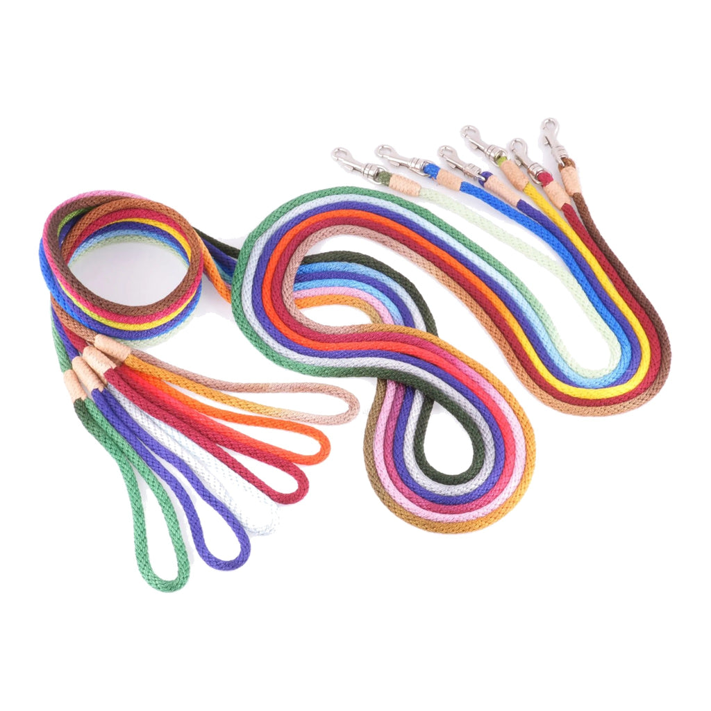 Lightweight nylon leash 4 ft lead for small dogs cats – photo 2
