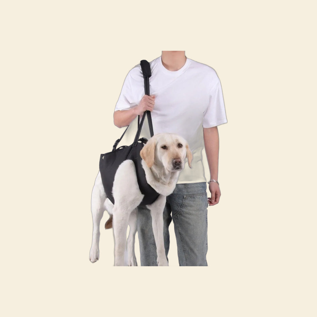 Rear-leg lift sling with soft lining