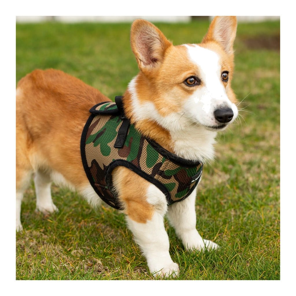 Soft mesh step in harness for small dogs cats – photo 2
