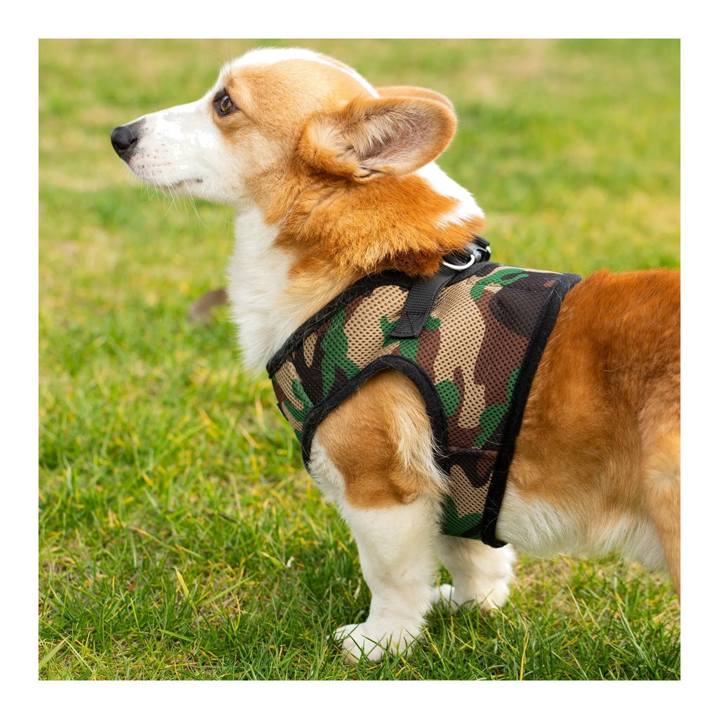 Soft mesh step in harness for small dogs cats – photo 3
