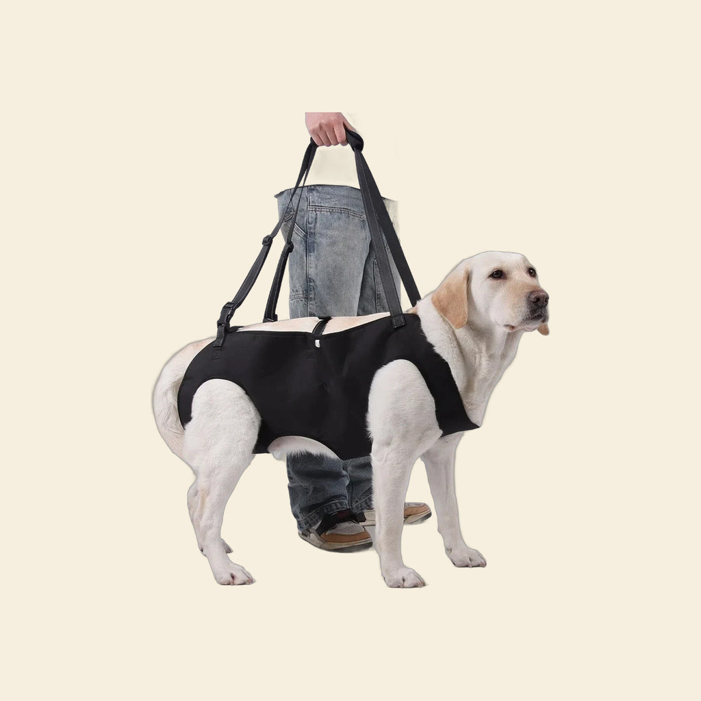 Lift sling and grip socks set