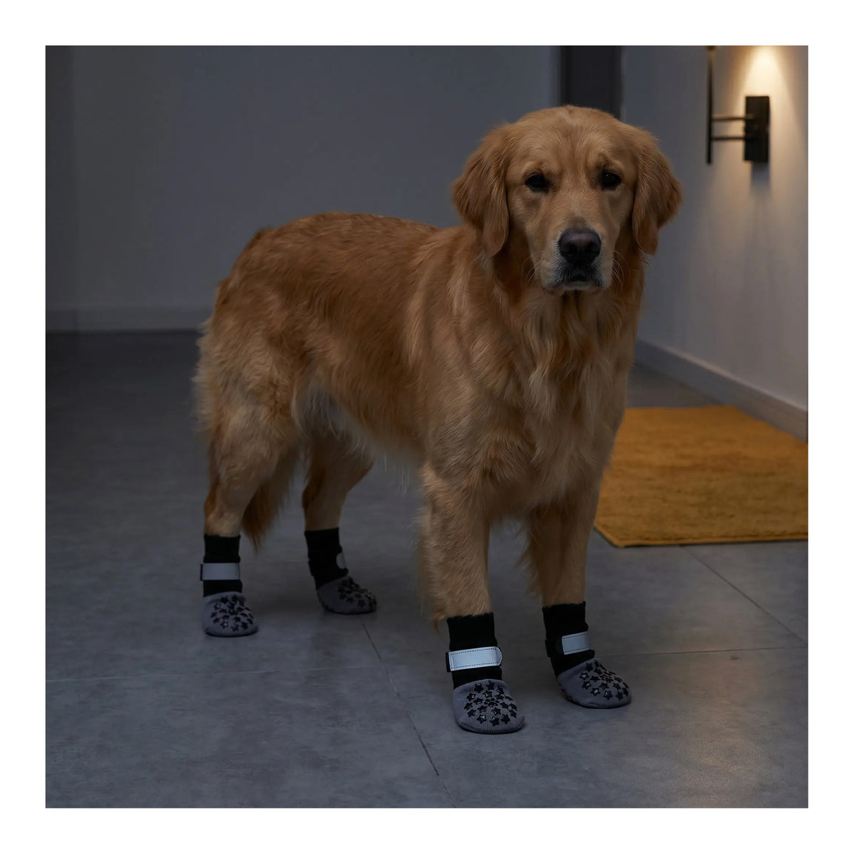 Non-slip grip socks for dogs, 4-pack with straps