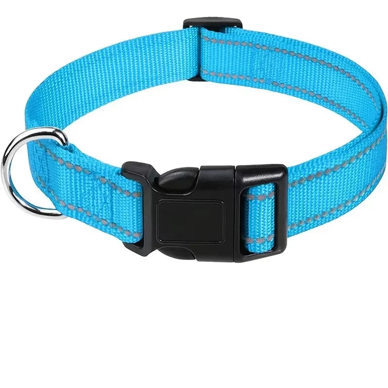 Blue reflective nylon dog collar with black quick-release buckle and metal D-ring