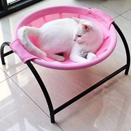 Cat resting in a pink mesh hammock bed on a low black metal stand